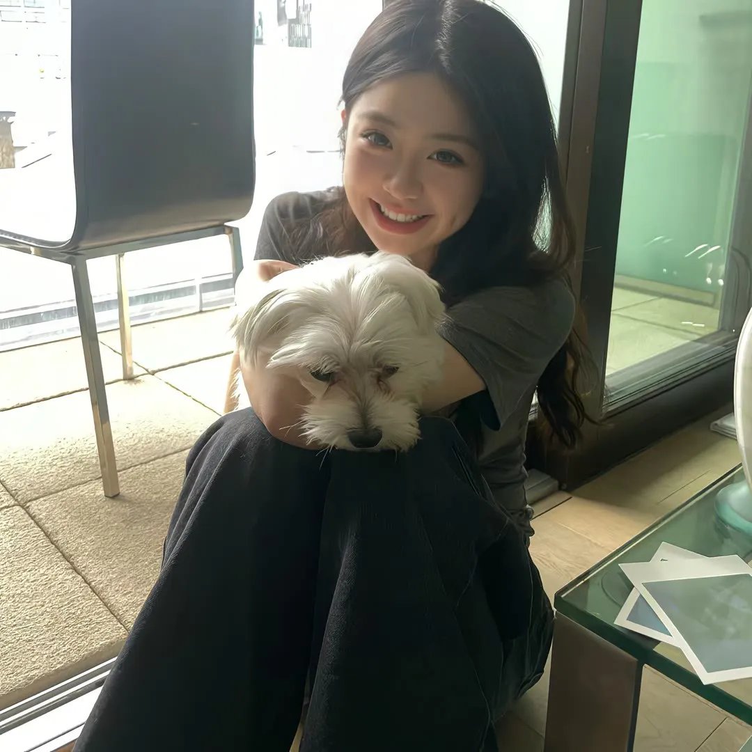 离狼之歌